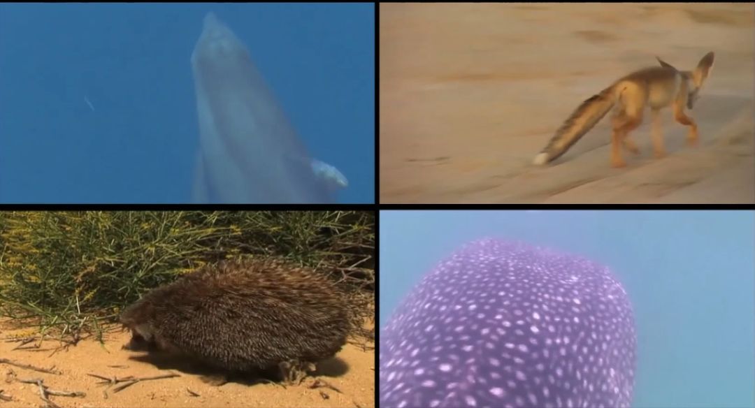 万利官网(中国集团)唯一官方网站