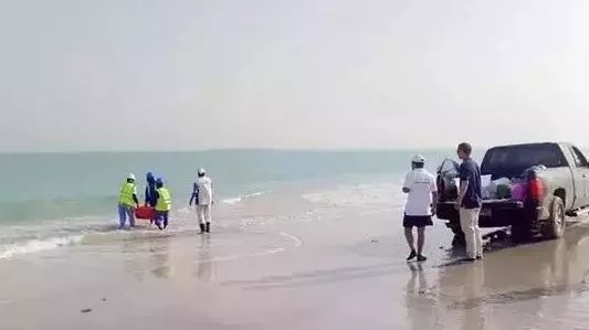 万利官网(中国集团)唯一官方网站