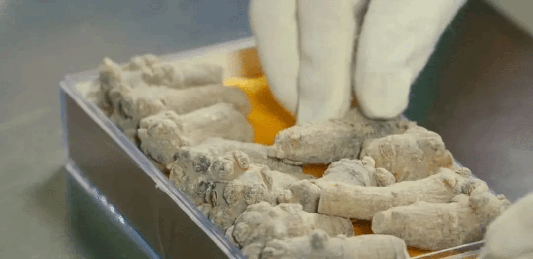 万利官网(中国集团)唯一官方网站