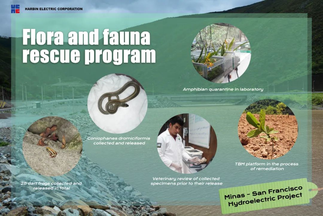 万利官网(中国集团)唯一官方网站