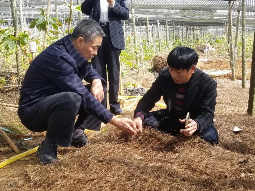 万利官网(中国集团)唯一官方网站