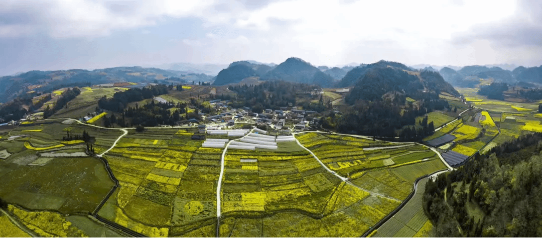 万利官网(中国集团)唯一官方网站