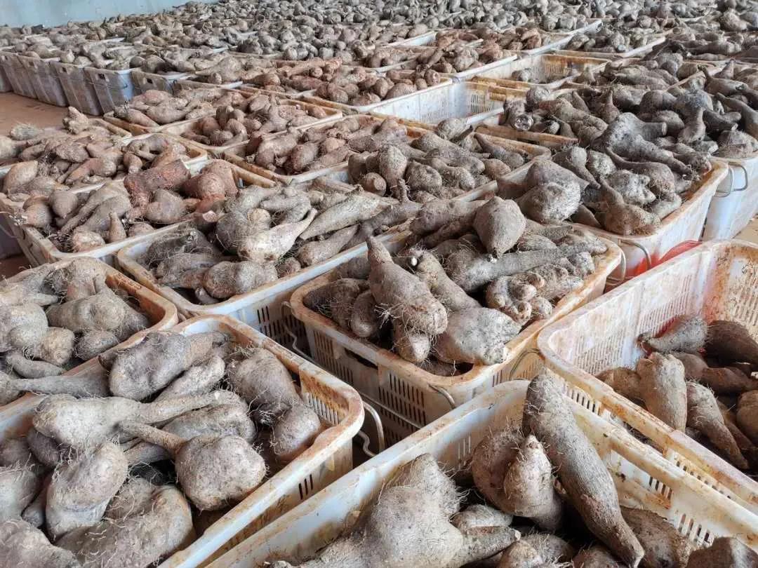 万利官网(中国集团)唯一官方网站