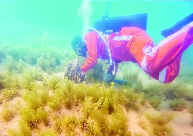 万利官网(中国集团)唯一官方网站