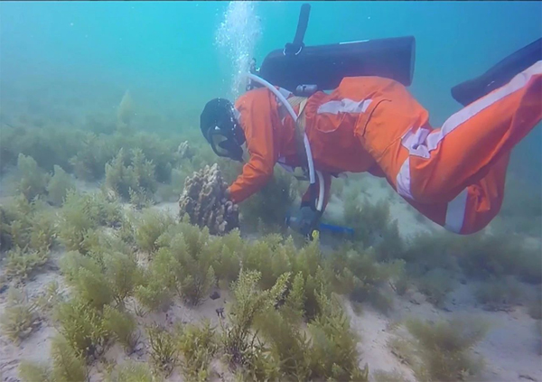 万利官网(中国集团)唯一官方网站