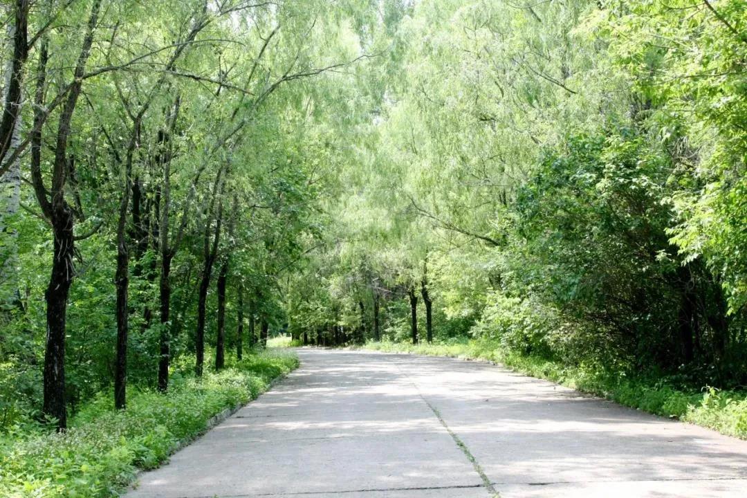 万利官网(中国集团)唯一官方网站