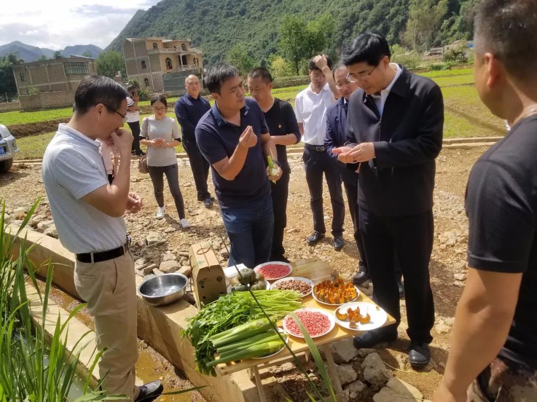 万利官网(中国集团)唯一官方网站