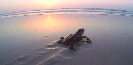 万利官网(中国集团)唯一官方网站