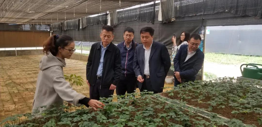 万利官网(中国集团)唯一官方网站