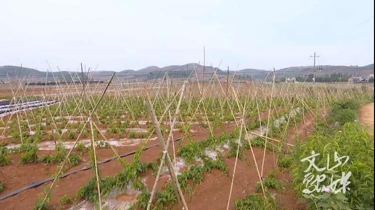 万利官网(中国集团)唯一官方网站