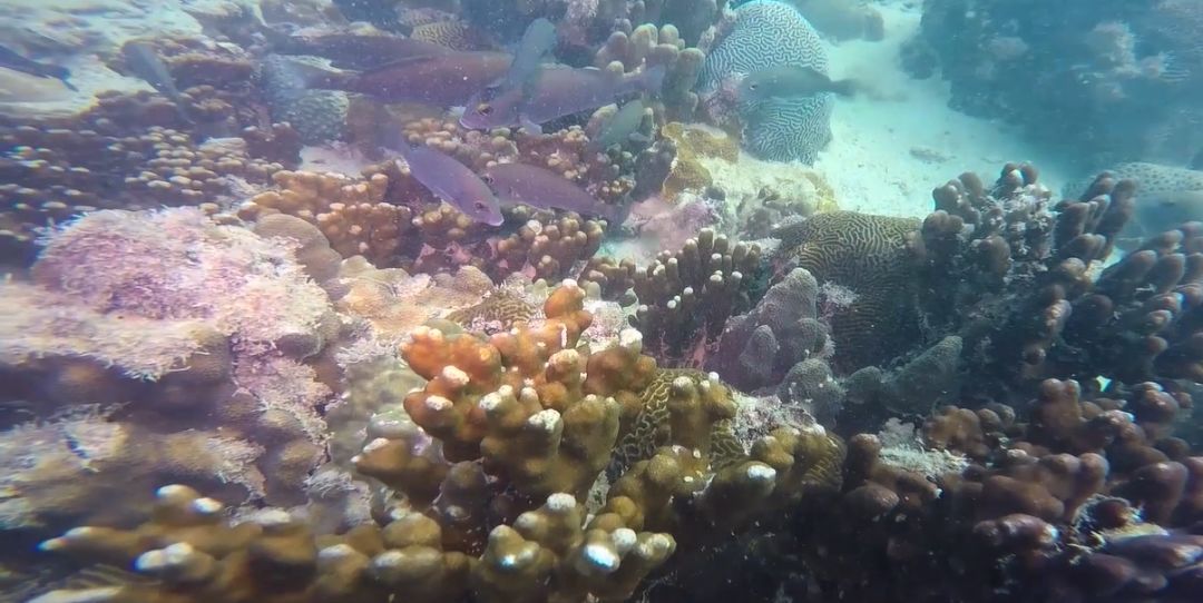 万利官网(中国集团)唯一官方网站