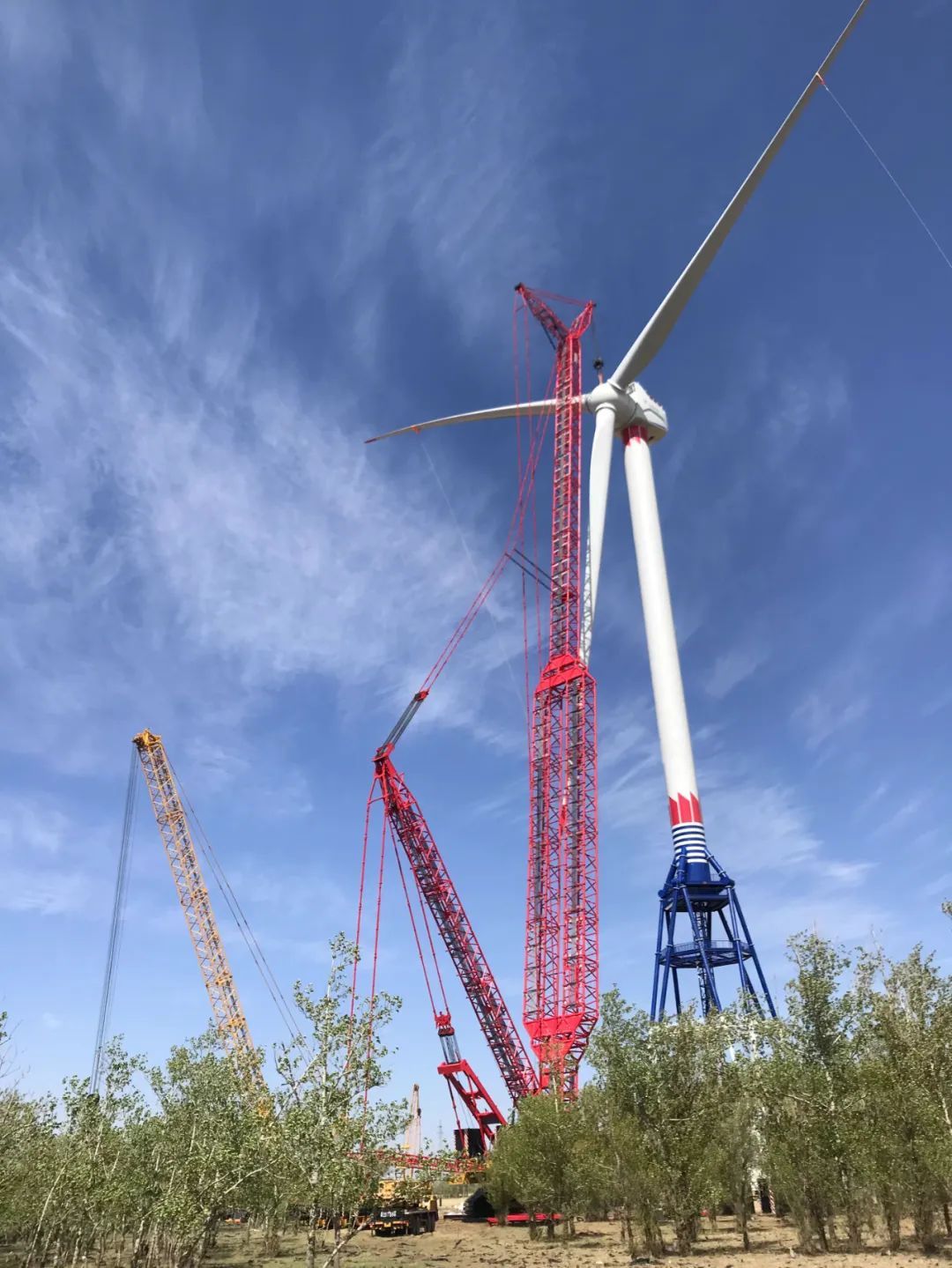 万利官网(中国集团)唯一官方网站