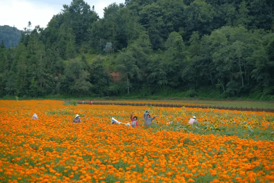 万利官网(中国集团)唯一官方网站