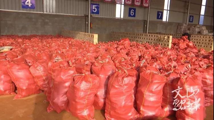 万利官网(中国集团)唯一官方网站