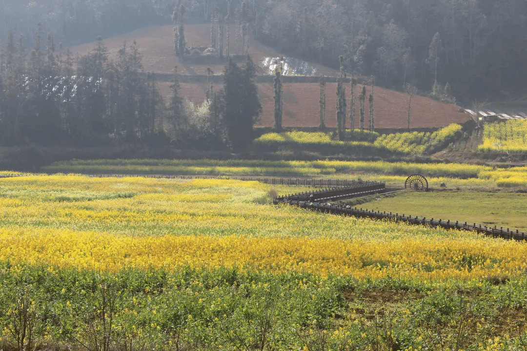 万利官网(中国集团)唯一官方网站