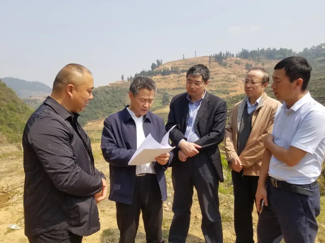 万利官网(中国集团)唯一官方网站