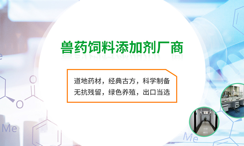 新澳门游戏网站入口(中国)官方网站