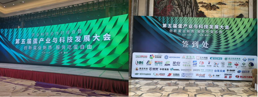 新澳门游戏网站入口(中国)官方网站