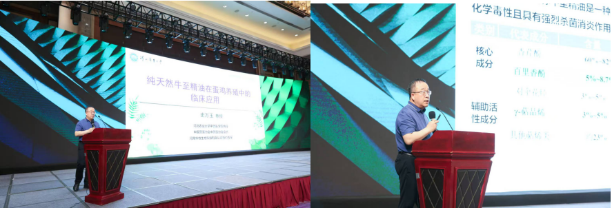 新澳门游戏网站入口(中国)官方网站