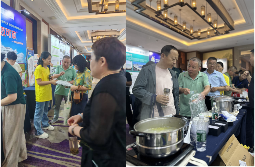 新澳门游戏网站入口(中国)官方网站