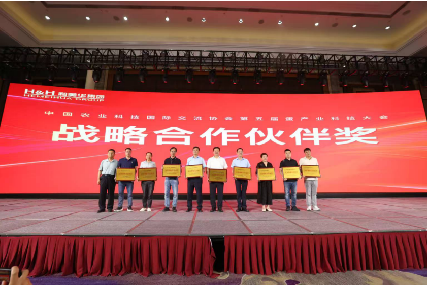 新澳门游戏网站入口(中国)官方网站
